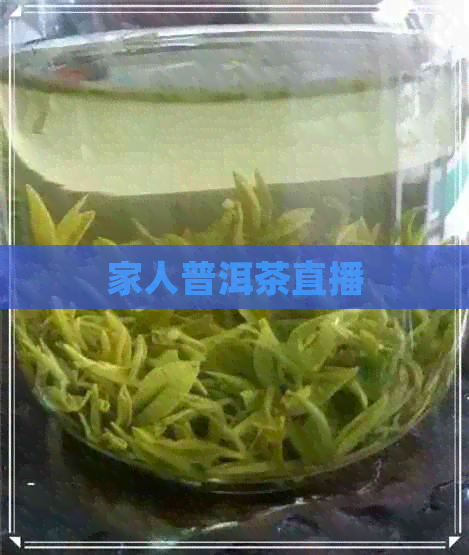 家人普洱茶直播