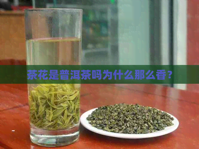 茶花是普洱茶吗为什么那么香？