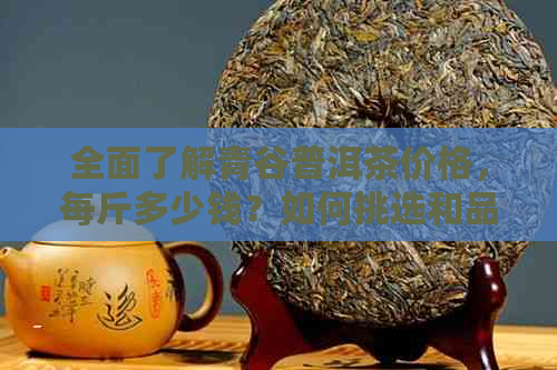 全面了解青谷普洱茶价格，每斤多少钱？如何挑选和品鉴普洱茶？