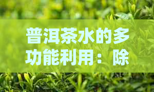 普洱茶水的多功能利用：除了浇花，还能做什么？