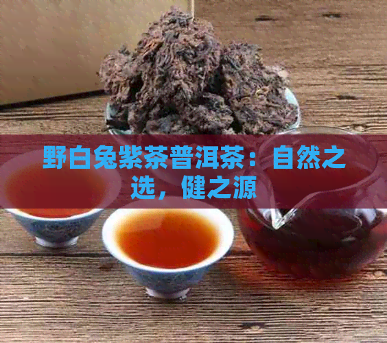 野白兔紫茶普洱茶：自然之选，健之源