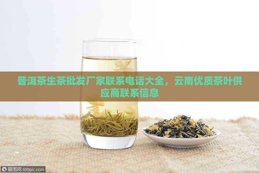 普洱茶生茶批发厂家联系电话大全，云南优质茶叶供应商联系信息