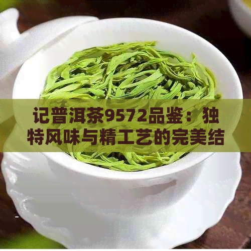 记普洱茶9572品鉴：独特风味与精工艺的完美结合