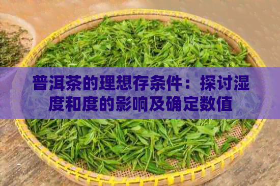 普洱茶的理想存条件：探讨湿度和度的影响及确定数值