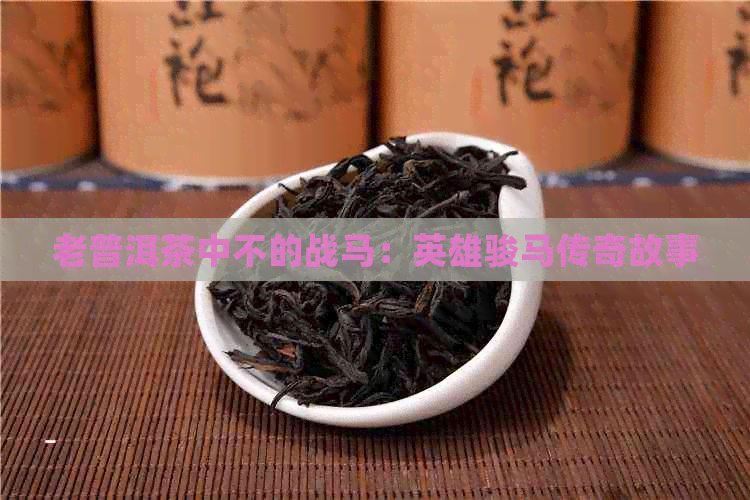 老普洱茶中不的战马：英雄骏马传奇故事