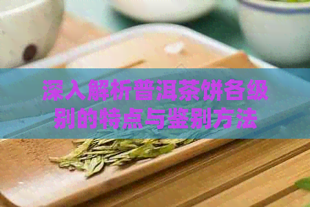 深入解析普洱茶饼各级别的特点与鉴别方法