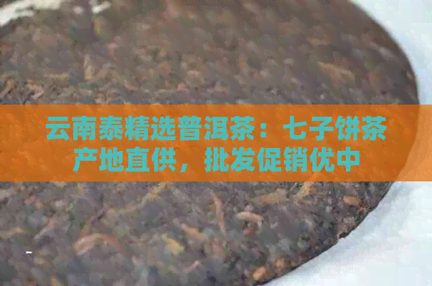 云南泰精选普洱茶：七子饼茶产地直供，批发促销优中