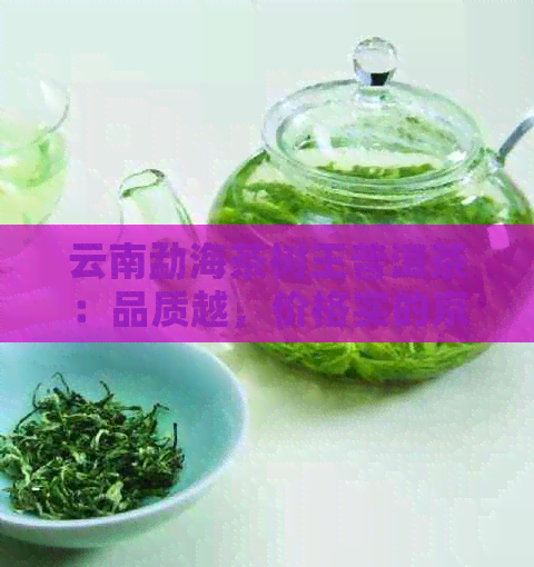 云南勐海茶树王普洱茶：品质越，价格实的京东u0026阿里批发之选