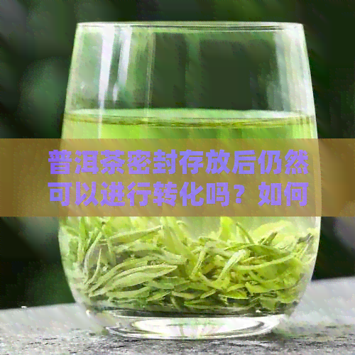 普洱茶密封存放后仍然可以进行转化吗？如何正确存普洱茶以保持其品质？