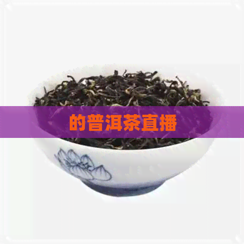 的普洱茶直播