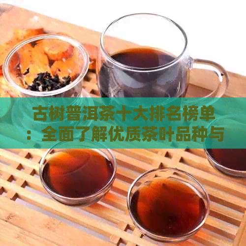 古树普洱茶十大排名榜单：全面了解优质茶叶品种与，助您轻松选购！