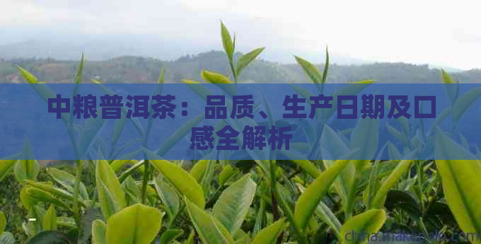 中粮普洱茶：品质、生产日期及口感全解析