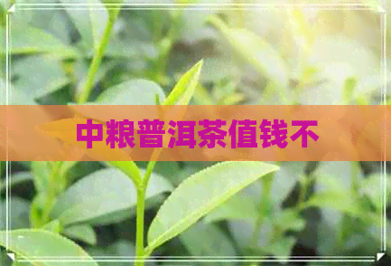 中粮普洱茶值钱不