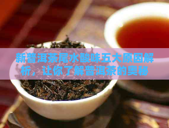 新普洱茶尾水酸味五大原因解析，让你了解普洱茶的奥秘