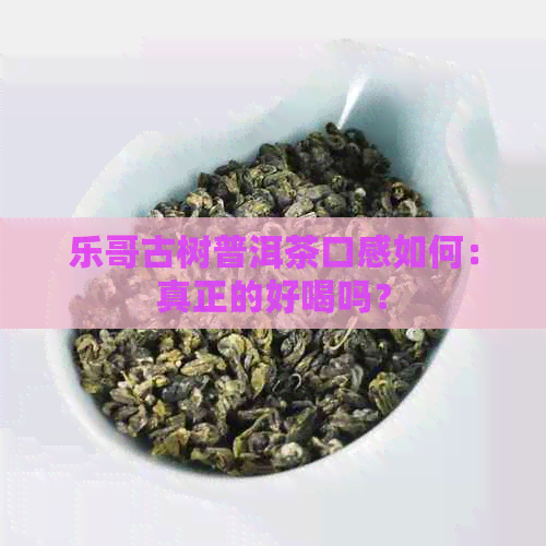 乐哥古树普洱茶口感如何：真正的好喝吗？