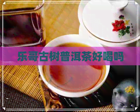 乐哥古树普洱茶好喝吗