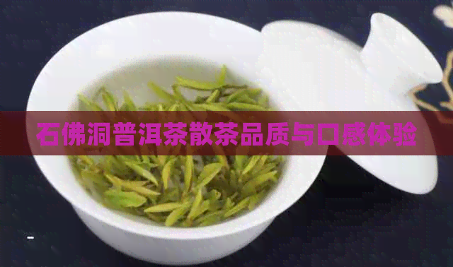 石佛洞普洱茶散茶品质与口感体验