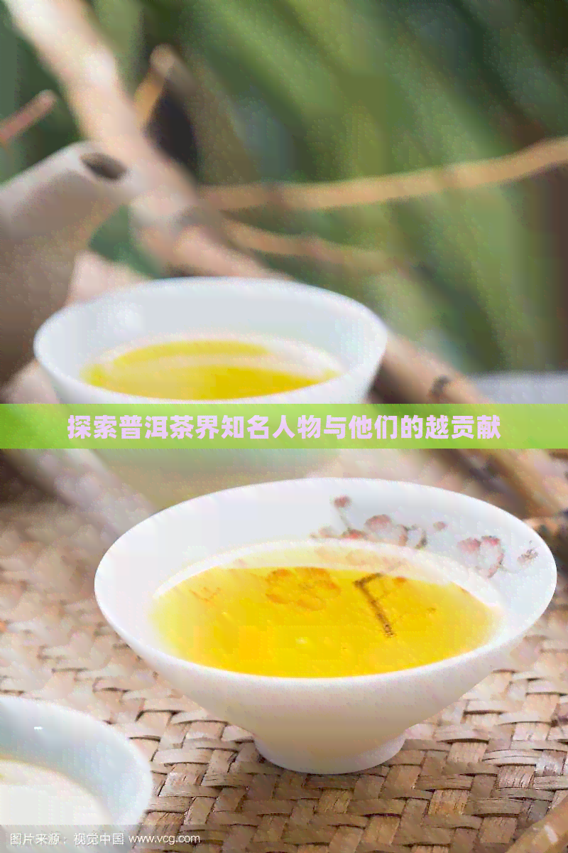 探索普洱茶界知名人物与他们的越贡献