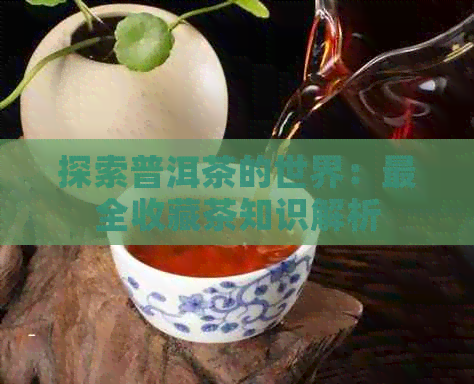 探索普洱茶的世界：最全收藏茶知识解析