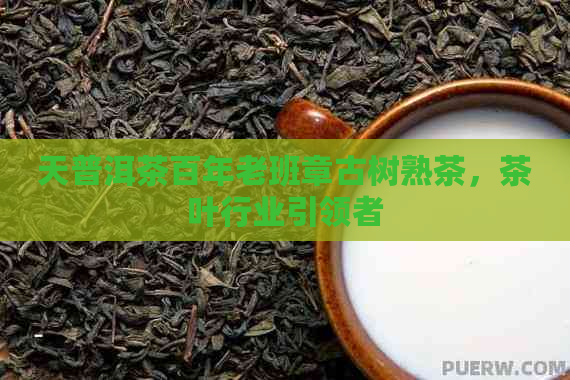 天普洱茶百年老班章古树熟茶，茶叶行业引领者