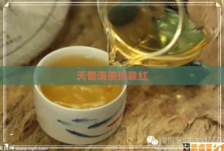 天普洱茶班章红