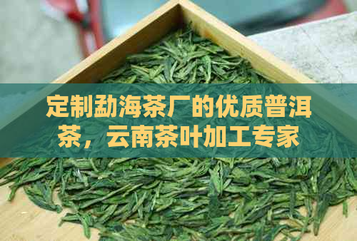 定制勐海茶厂的优质普洱茶，云南茶叶加工专家