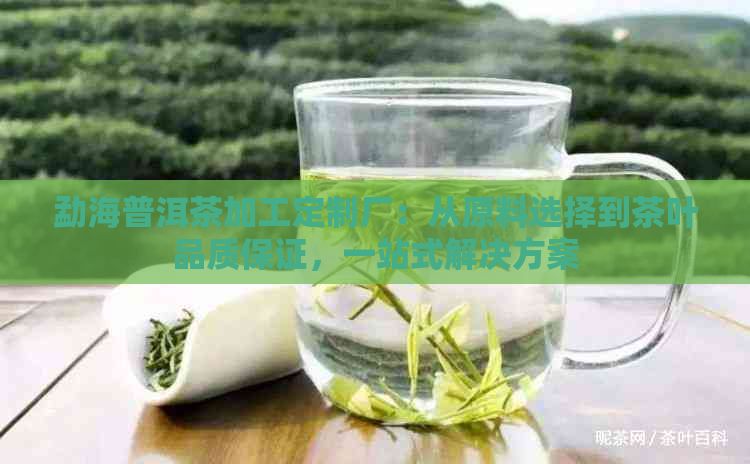 勐海普洱茶加工定制厂：从原料选择到茶叶品质保证，一站式解决方案