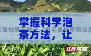 掌握科学泡茶方法，让普洱茶口感更佳：从选择茶叶到冲泡技巧一应俱全