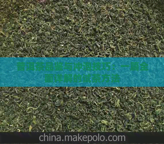 普洱茶品鉴与冲泡技巧：一篇全面详解的试茶方法