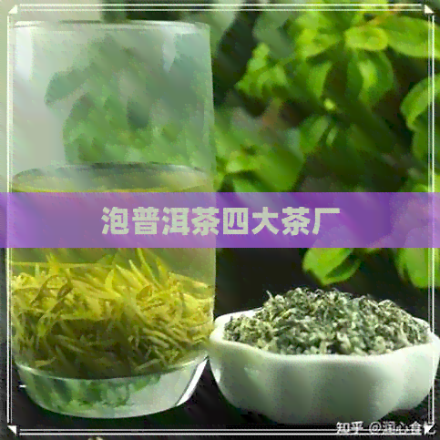 泡普洱茶四大茶厂