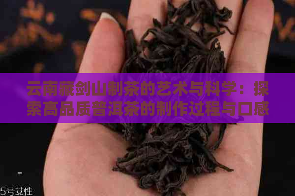 云南藏剑山制茶的艺术与科学：探索高品质普洱茶的制作过程与口感体验
