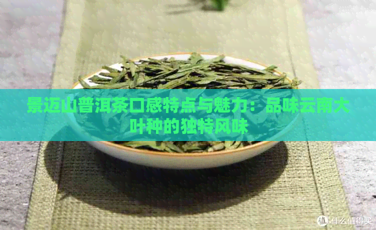 景迈山普洱茶口感特点与魅力：品味云南大叶种的独特风味