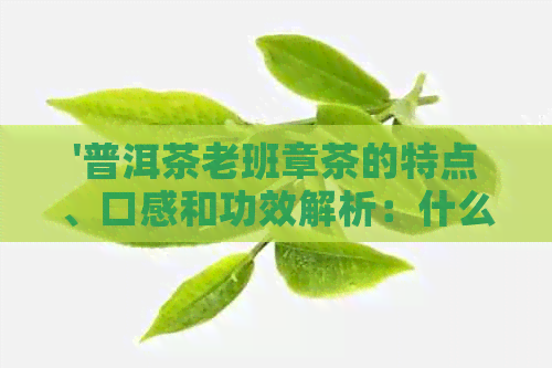 '普洱茶老班章茶的特点、口感和功效解析：什么是老班章普洱茶？'