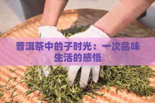 普洱茶中的子时光：一次品味生活的感悟