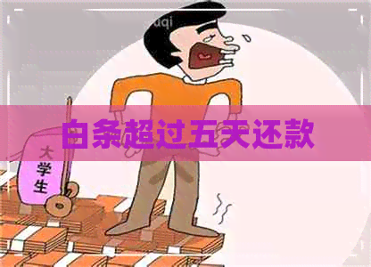 白条超过五天还款