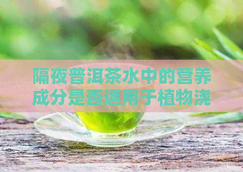 隔夜普洱茶水中的营养成分是否适用于植物浇灌：一文详解