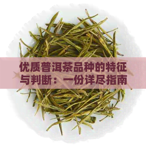 优质普洱茶品种的特征与判断：一份详尽指南