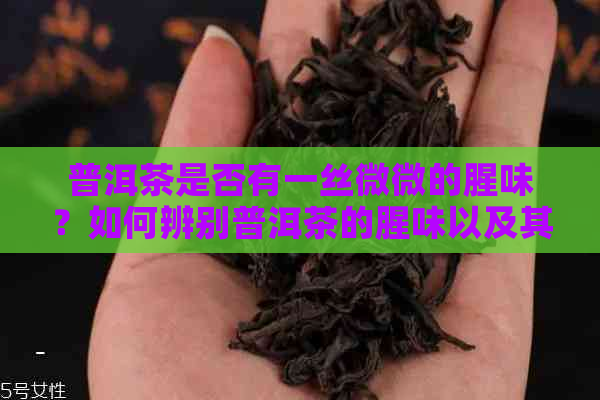 普洱茶是否有一丝微微的腥味？如何辨别普洱茶的腥味以及其成因？