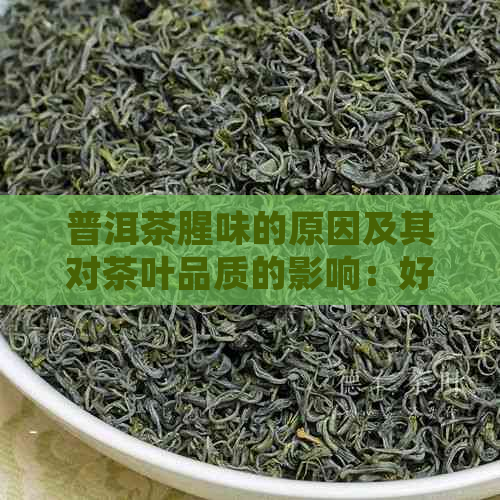 普洱茶腥味的原因及其对茶叶品质的影响：好还是坏？