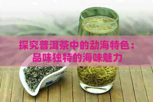 探究普洱茶中的勐海特色：品味独特的海味魅力