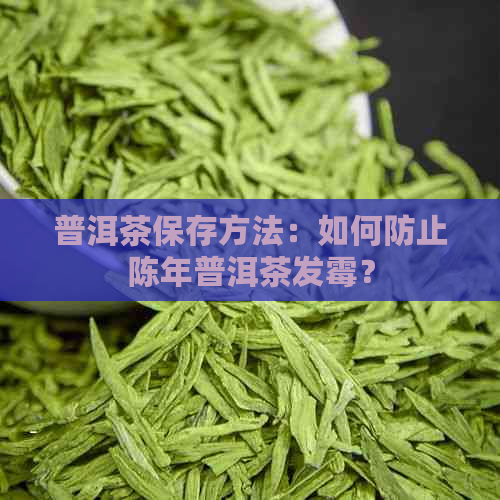 普洱茶保存方法：如何防止陈年普洱茶发霉？