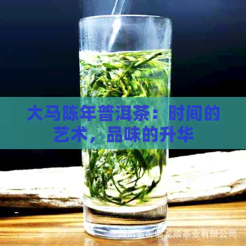 大马陈年普洱茶：时间的艺术，品味的升华