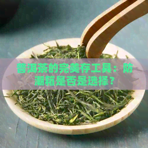 普洱茶的完美存工具：防潮箱是否是选择？