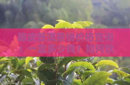 陈皮普洱茶饼价格查询：一盒多少钱？如何饮用与注意事项