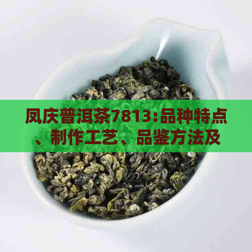 凤庆普洱茶7813:品种特点、制作工艺、品鉴方法及收藏价值全面解析