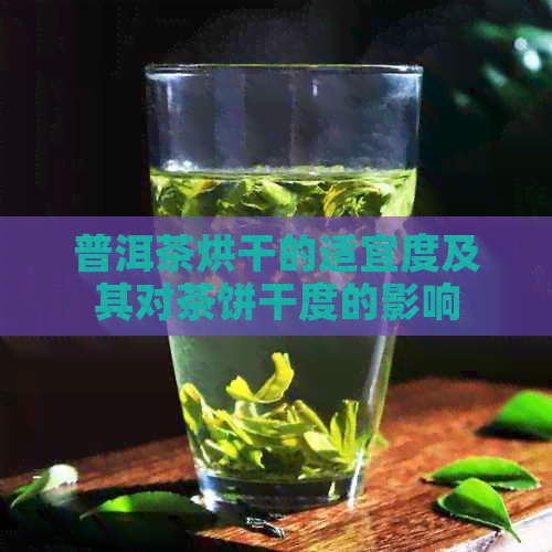 普洱茶烘干的适宜度及其对茶饼干度的影响