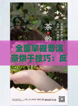 全面掌握普洱茶烘干技巧：反复烘干的多种方法及其效果对比分析