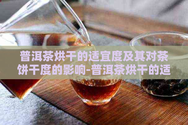 普洱茶烘干的适宜度及其对茶饼干度的影响-普洱茶烘干的适宜度及其对茶饼干度的影响