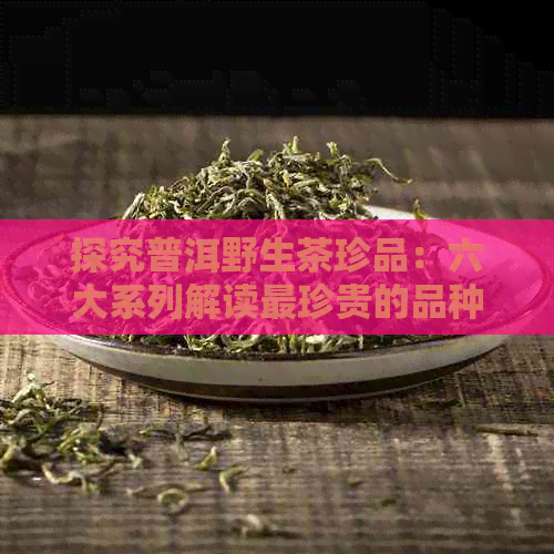 探究普洱野生茶珍品：六大系列解读最珍贵的品种及特点