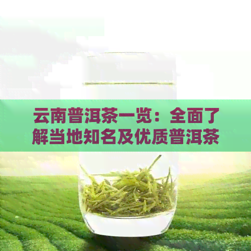 云南普洱茶一览：全面了解当地知名及优质普洱茶，助您轻松选茶